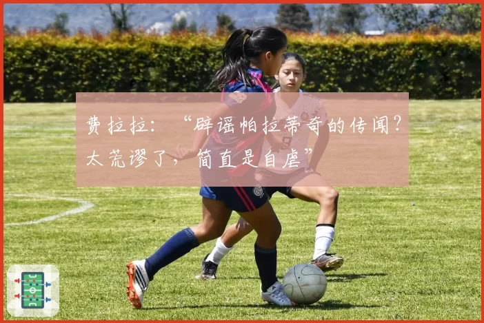 费拉拉：“辟谣帕拉蒂奇的传闻？太荒谬了，简直是自虐”